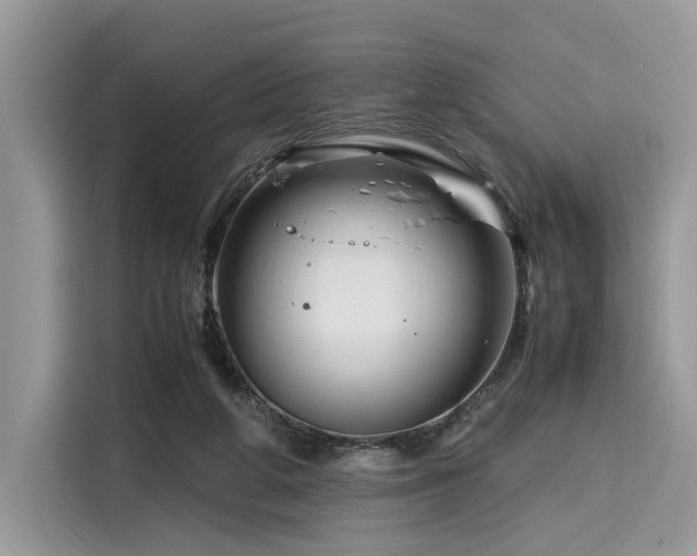 X0000116260210200911301200