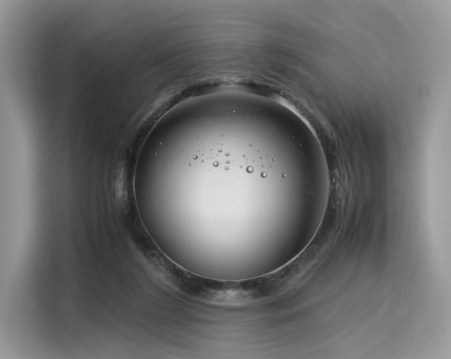 X0000116260212200911301200