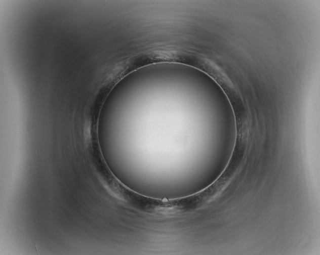 X0000116260213200911301200