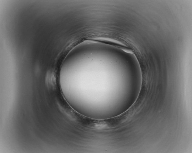 X0000116260214200911301159