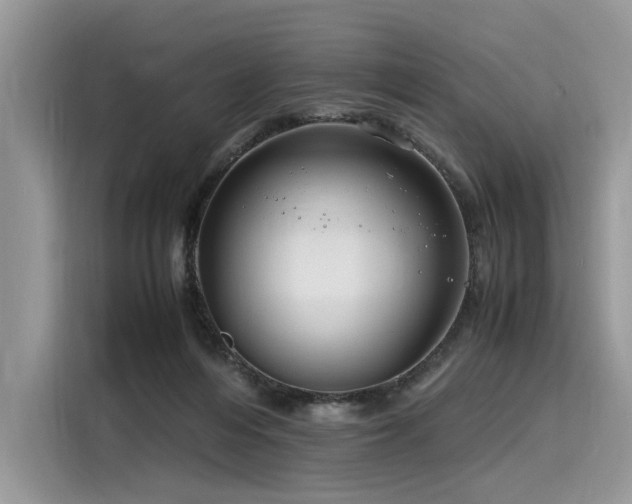 X0000116260216200911301159