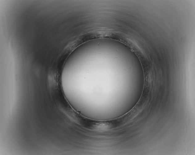 X0000116260218200911301159