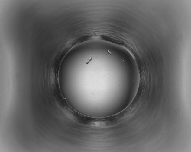 X0000116260220200911301159
