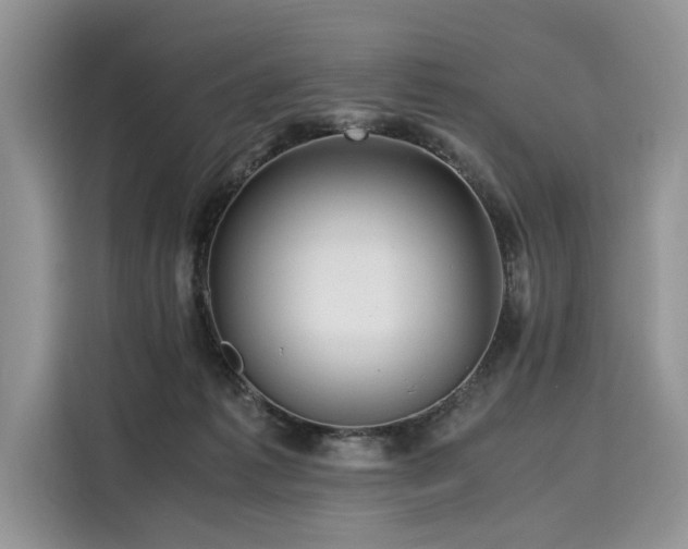X0000116260221200911301159
