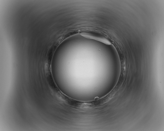 X0000116260222200911301159