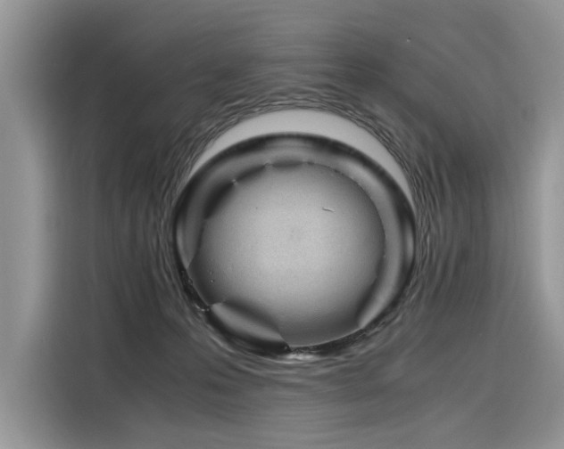 X0000116260223200911301159