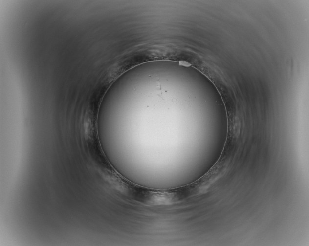 X0000116260226200911301159