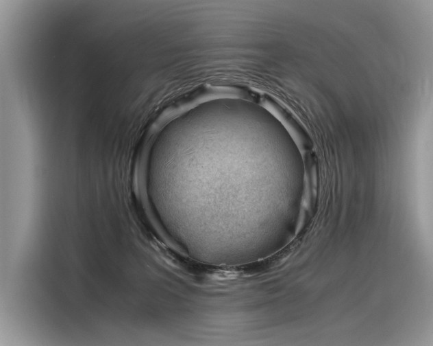 X0000116260227200911301159