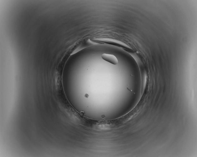 X0000116260228200911301159