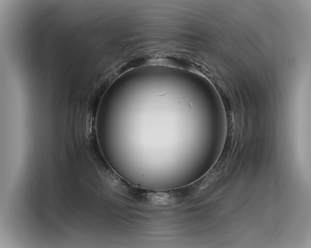 X0000116260230200911301159