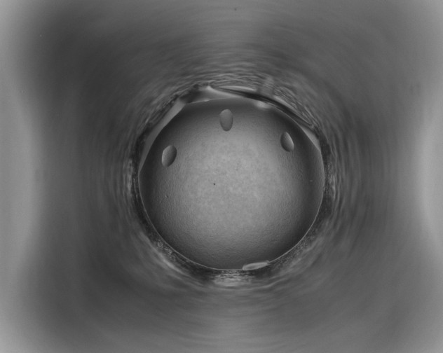 X0000116260231200911301159