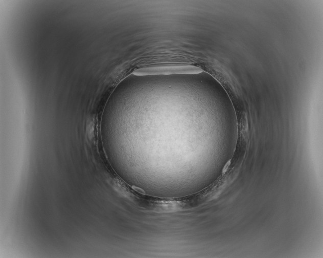 X0000116260233200911301159