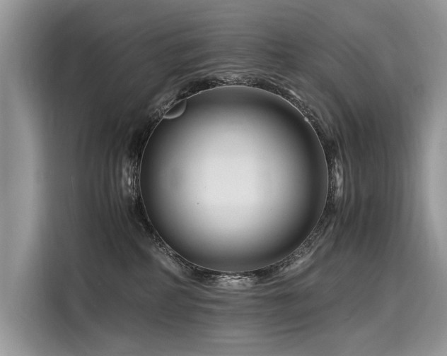 X0000116260234200911301159