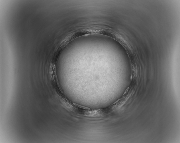 X0000116260237200911301159