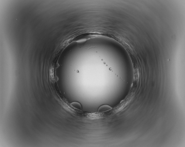 X0000116260238200911301159