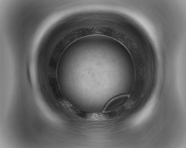 X0000116260239200911301159