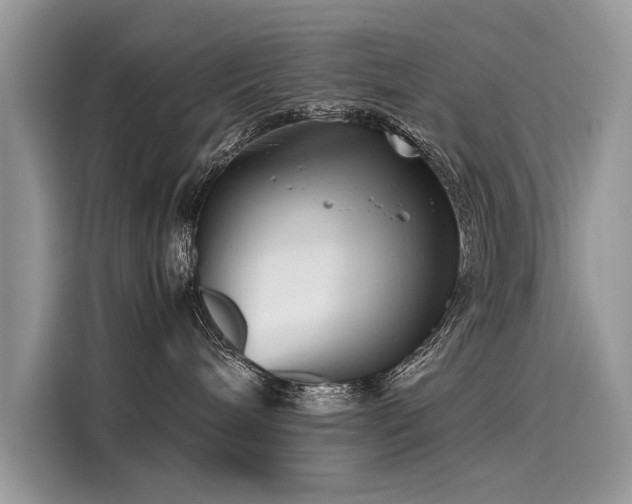 X0000116260240200911301159