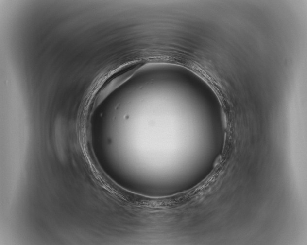 X0000116260241200911301159