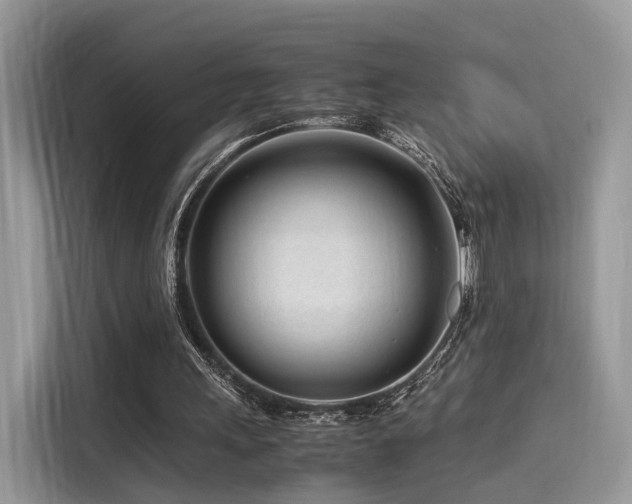 X0000116260243200911301159
