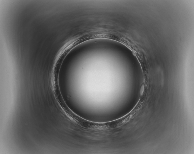 X0000116260245200911301159