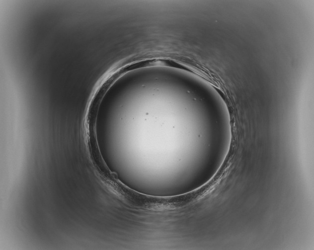 X0000116260246200911301159