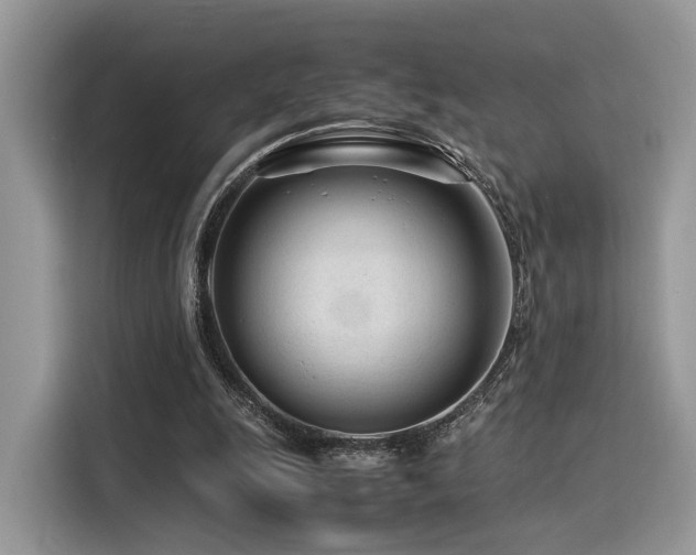 X0000116260247200911301159