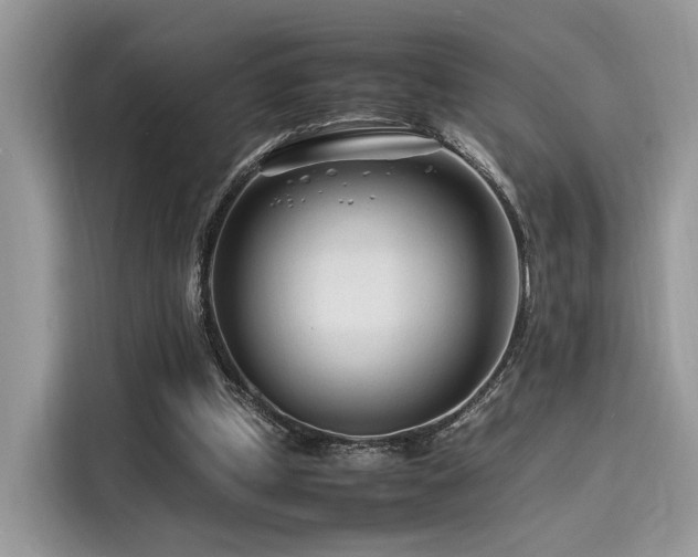 X0000116260249200911301159