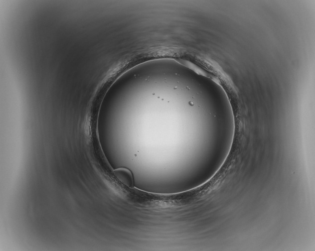 X0000116260250200911301159