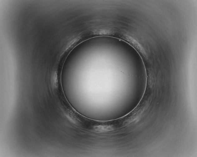 X0000116260251200911301159