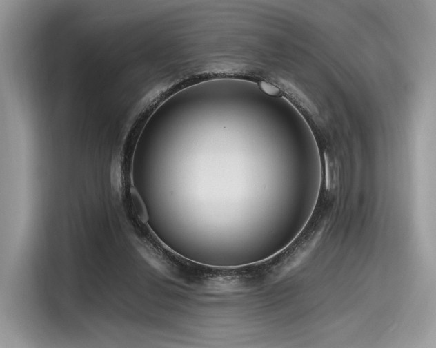 X0000116260252200911301159