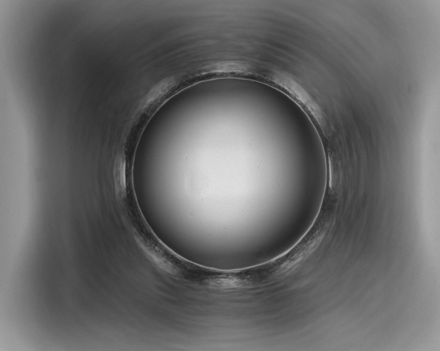 X0000116260253200911301159