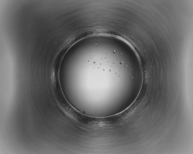X0000116260254200911301159