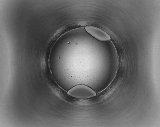 X0000116260256200911301159