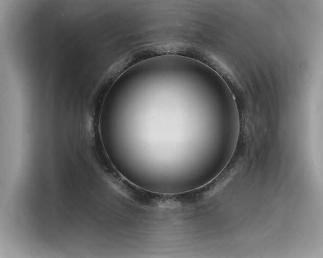 X0000116260258200911301159