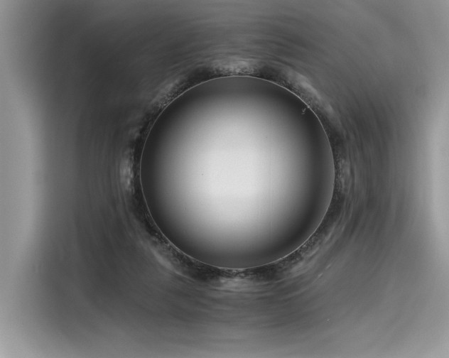 X0000116260259200911301159