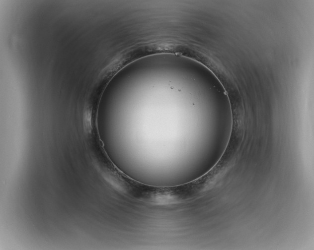 X0000116260262200911301159