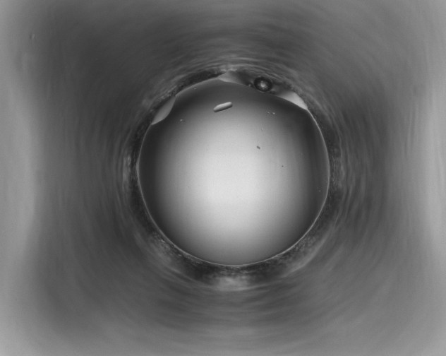 X0000116260263200911301159