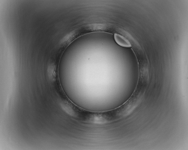 X0000116260264200911301159