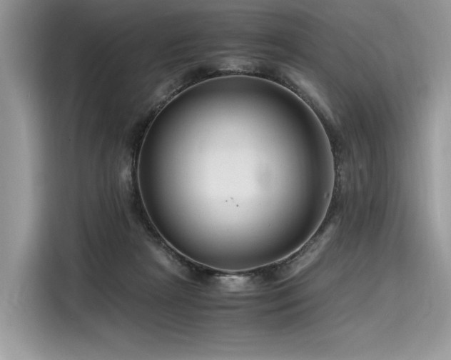 X0000116260265200911301159