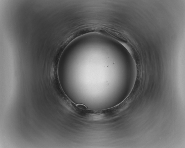 X0000116260266200911301159