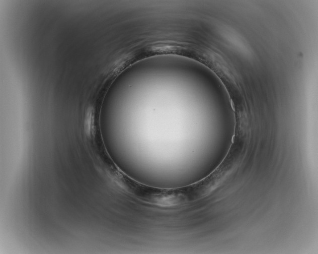 X0000116260267200911301159