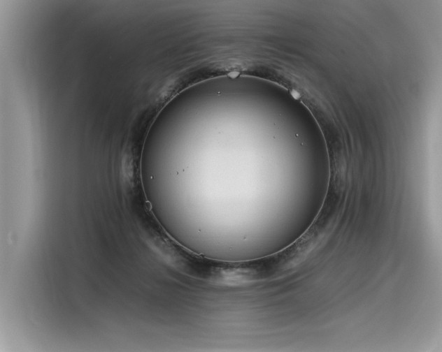 X0000116260268200911301159