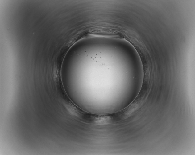 X0000116260274200911301159