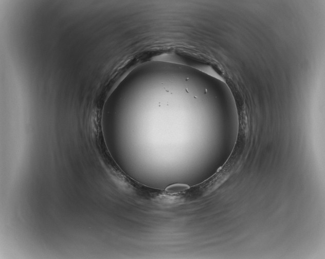 X0000116260280200911301159