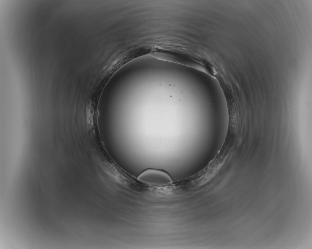 X0000116260282200911301159