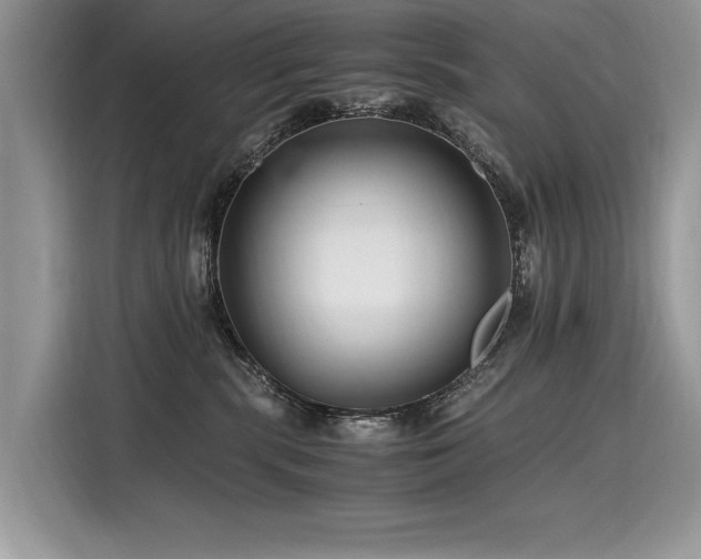 X0000116260283200911301159