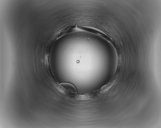X0000116260286200911301159