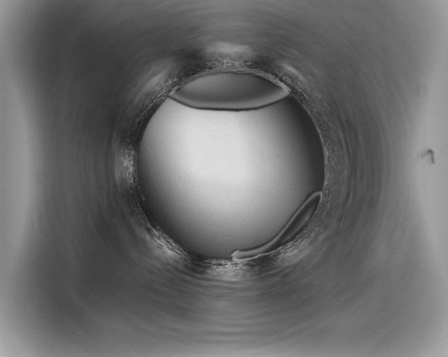 X0000116260288200911301159