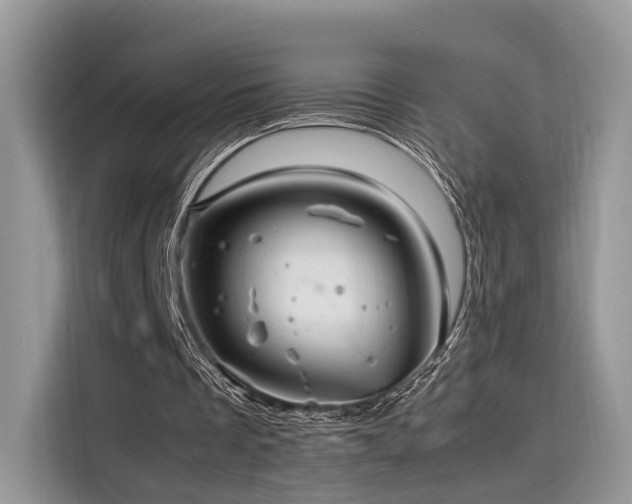 X0000116260289200911301159