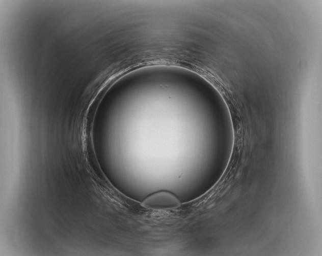 X0000116260290200911301159